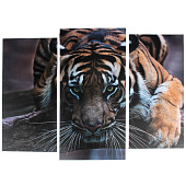  Модульная картина Тигровый взгляд, 60х80 см, 3981650 