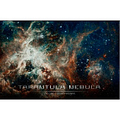 Картина стекло Туманность тарантула 50х70 Картина стекло Туманность тарантула 50х70