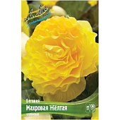 Бегония МАХРОВАЯ ЖЕЛТАЯ 5/6 (уп 3шт) Бегония МАХРОВАЯ ЖЕЛТАЯ 5/6 (уп 3шт)