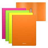 Папка пластиковая на 2-х кольцах А4 24мм, 600мкм ErichKrause Matt Neon ассорти 49973 Папка пластиковая на 2-х кольцах А4 24мм, 600мкм ErichKrause Matt Neon ассорти 49973