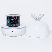 Светодиодная система B52 "FANTASY MOOSE" ночн+6 проекц:ночь,ДР,люб,лошад,планеты,водн мир, 4,5/220В