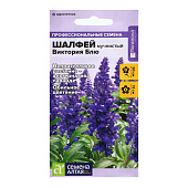 Шалфей Виктория Блю мучнистый СА Шалфей Виктория Блю мучнистый СА