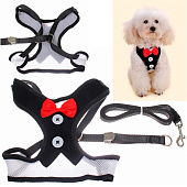  Шлейка с поводком для мелких пород собак и кошек Lapusik, размер L, 333-722 