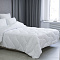  Одеяло 200х220 стеганое стандарт Hotel Collection Белый 