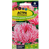 Астра Седая Дама Розовая СА Астра Седая Дама Розовая СА