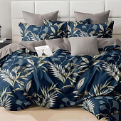  Комплект постельного белья 2 спальный Cleo поплин 20/013-PCE 