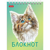 Блокнот А6, 40 л, Котики бывают разными, клетка, 40Б6В1гр Блокнот А6, 40 л, Котики бывают разными, клетка, 40Б6В1гр