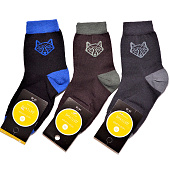  Детские носки ШЧНФ 216д, ассорти, р. 14-16 