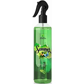 Ароматизатор воздуха Лето 250 мл. Clean&Green CG8128
