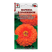  Цинния Маркиза в Оранжевом ЗС 
