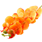 Цветы искусственные «Орхидея фаленопсис» премиум, 7?55 см, жёлтые Цветы искусственные «Орхидея фаленопсис» премиум, 7?55 см, жёлтые