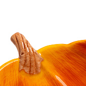 Блюдо Bright pumpkin 23 см,оранжевое, Тыква ANLAF-FDWS-031224-11