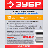 Биты с торцовой головкой, магнитные,хвостовик E 1/4", 10х45мм, 2шт/ЗУБР "МАСТЕР" Биты с торцовой головкой, магнитные,хвостовик E 1/4", 10х45мм, 2шт/ЗУБР "МАСТЕР"