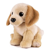  Мягкая игрушка Maxitoys, собака лабрадор, 20 см 