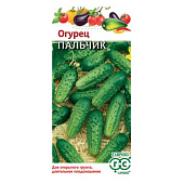Огурец Пальчик, ЗС Огурец Пальчик, ЗС