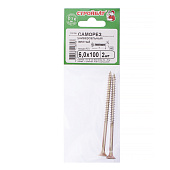  Саморезы универсальные желтые ШУж 6,0х100мм, потайная голова, 2шт 