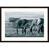 Картина ED-17 Картина ED-17