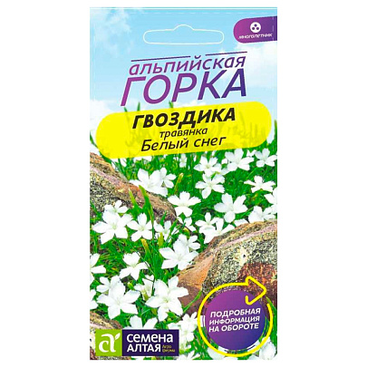  Гвоздика травянка Белый Снег, многолетник   СА 