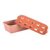 Ящик для выращивания лука 305х160х85, 10ячеек М6716 Ящик для выращивания лука 305х160х85, 10ячеек М6716