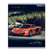 Тетрадь 36л. А5. клетка Alingar NATURE CAR 4 дизайна AL10358 Тетрадь 36л. А5. клетка Alingar NATURE CAR 4 дизайна AL10358