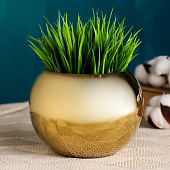 Кашпо "Идеалити" 0,8л 7875766 Кашпо "Идеалити" 0,8л 7875766