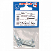  Винт оцинк.пкр. DIN 7985  М 4х30 (12шт) 
