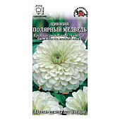 Цинния Полярный медведь, ЗС Цинния Полярный медведь, ЗС