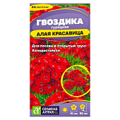  Гвоздика Турецкая Алая красавица СА 