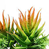  Искусственный цветок в горшке Суккуленты 6,5х11 см, микс 4453391 