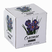  Кружка 310 мл Крокусы 135-08043 