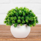  Бонсай в горшке "Пушистые колючки" 9х13 см, микс   4457610 