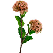  Искусственный цветок Трахелиум, 10х6х44 см, розовый 