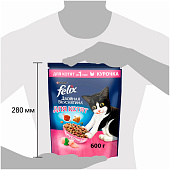  Сухой корм для котят FELIX Двойная Вкуснятина Курица 600г 