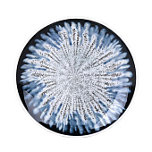  Тарелка 20 см Blue star  6928 
