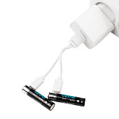 Аккумулятор AAA-1000мАч(2шт) зарядка от Type-C шнур в комплекте USB ФАZА Аккумулятор AAA-1000мАч(2шт) зарядка от Type-C шнур в комплекте USB ФАZА