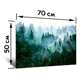 Картина стекло Туманный лес №2 50х70 Картина стекло Туманный лес №2 50х70