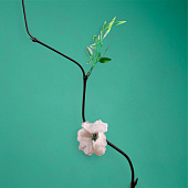 Интерьерный декор из бамбука, цветы пластик 200 см белый 7779960 Интерьерный декор из бамбука, цветы пластик 200 см белый 7779960