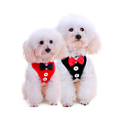  Шлейка с поводком для мелких пород собак и кошек Lapusik, размер S, 333-720 