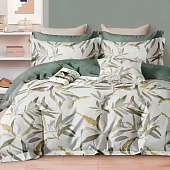  Комплект постельного белья 1,5 спальный Cleo HOME Поплин Pure Cotton 15/014-PCE 