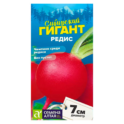 Свекла Цилиндра улучшенная СибСад Свекла Цилиндра улучшенная СибСад