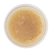 Жир паяльный нейтральный, 20 гр./ Сибртех Жир паяльный нейтральный, 20 гр./ Сибртех