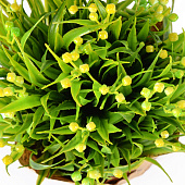 Растение искусственное в кашпо, 20х9 см, 10922-5708-3 