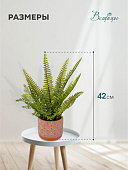 Искусственный цветок Папоротник, в керамическом горшке, 120х120х420 мм, Mia12 Искусственный цветок Папоротник, в керамическом горшке, 120х120х420 мм, Mia12