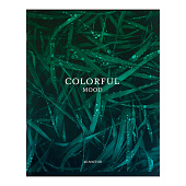  Тетрадь 48л. А5. Calligrata Изумруд, клетка, микс, 6250508 