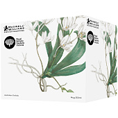 Кружка Maxwell & Williams 496 Орхидея белая 0.35л MW496-HV0451 Кружка Maxwell & Williams 496 Орхидея белая 0.35л MW496-HV0451