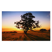 Картина Дерево, 60х100 см, 10236835 Картина Дерево, 60х100 см, 10236835