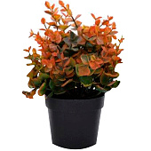 Искусственный цветок h=25см в кашпо 8х10см микс арт.19033-01655 Код261807 Искусственный цветок h=25см в кашпо 8х10см микс арт.19033-01655 Код261807