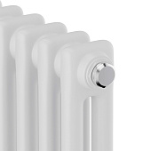 Дизайн-радиатор Royal Thermo Insignia C2180 180х29х6 секций RAL9016