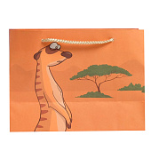 Пакет подарочный, упаковка, «Don not worry», 14,5 х 19,5 х 8,5 см Пакет подарочный, упаковка, «Don not worry», 14,5 х 19,5 х 8,5 см