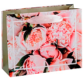 Пакет ламинированный горизонтальный Present, ML 27 х 23 х 11,5 см 4569542 Пакет ламинированный горизонтальный Present, ML 27 х 23 х 11,5 см 4569542